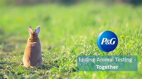 procter and gamble animal testing